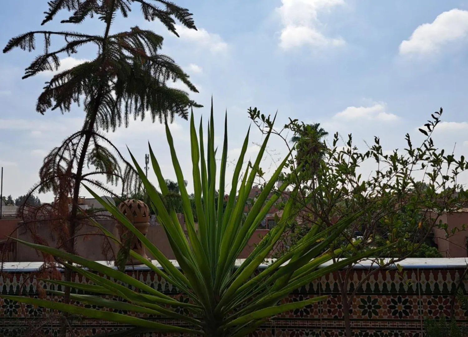 Riad Berchid Hostel Marrakesh